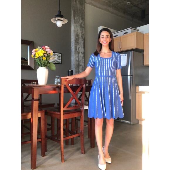 SHOSHANNA Blue White Striped Knit Hourglass Short Sleeve Arcadia Dress sz M - Picture 14 of 16